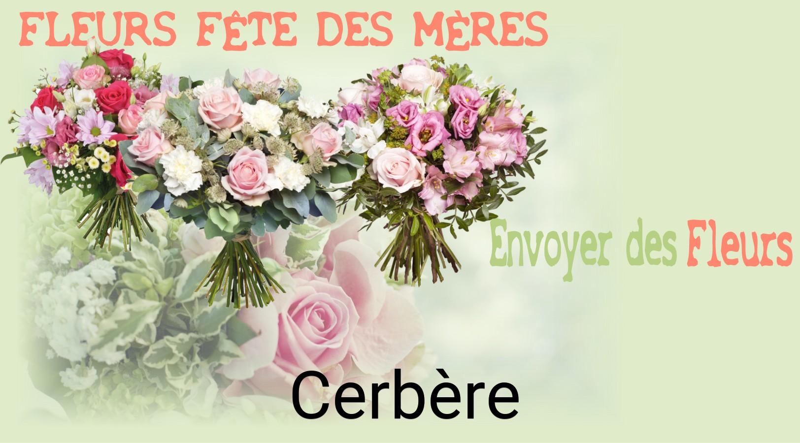 Bouquet de Fête des Mères livré à Cerbère